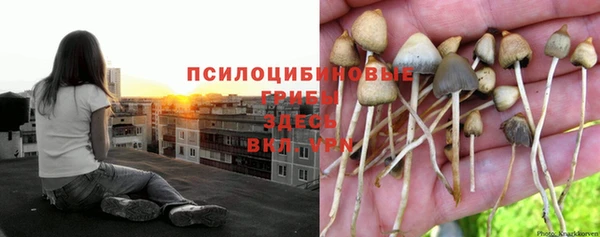 дживик Гусь-Хрустальный