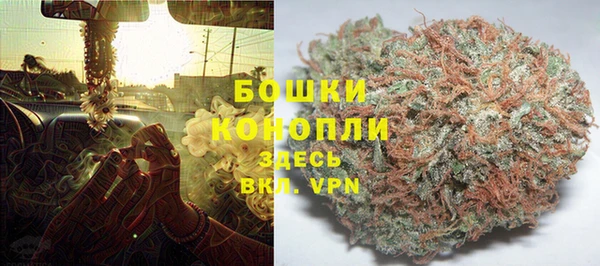 дживик Гусь-Хрустальный