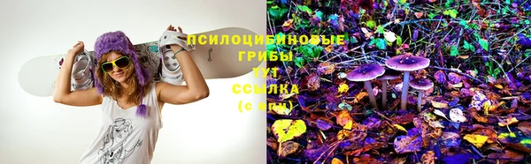 экстази Гусиноозёрск